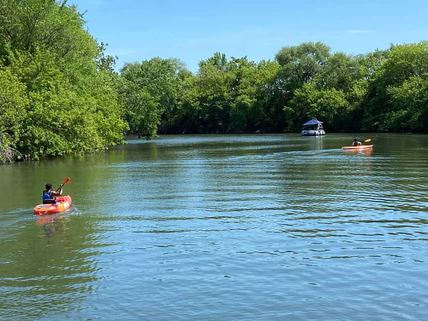 Chicago: 2-Hour Kayak Rental from Bridgeport - Wildlife Along the Green Banks: How to Spot Herons and Turtles