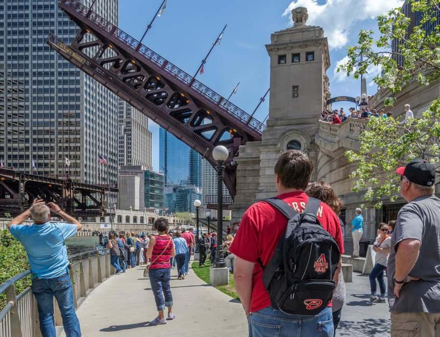 Chicago: Best of Attractions Walking Tour +Bike/Kayak Rental - Millennium Park and Cloud Gate, the stop that actually changes how you see Chicago