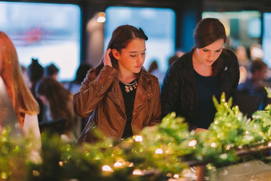 Chicago: Christmas Eve Lake Michigan Gourmet Dinner Cruise - Boarding At Navy Pier, Finding Odyssey Without Stress