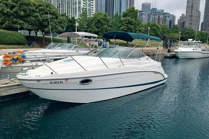 Chicago City Boat Tours - Lake Michigan hour: skyline on open water