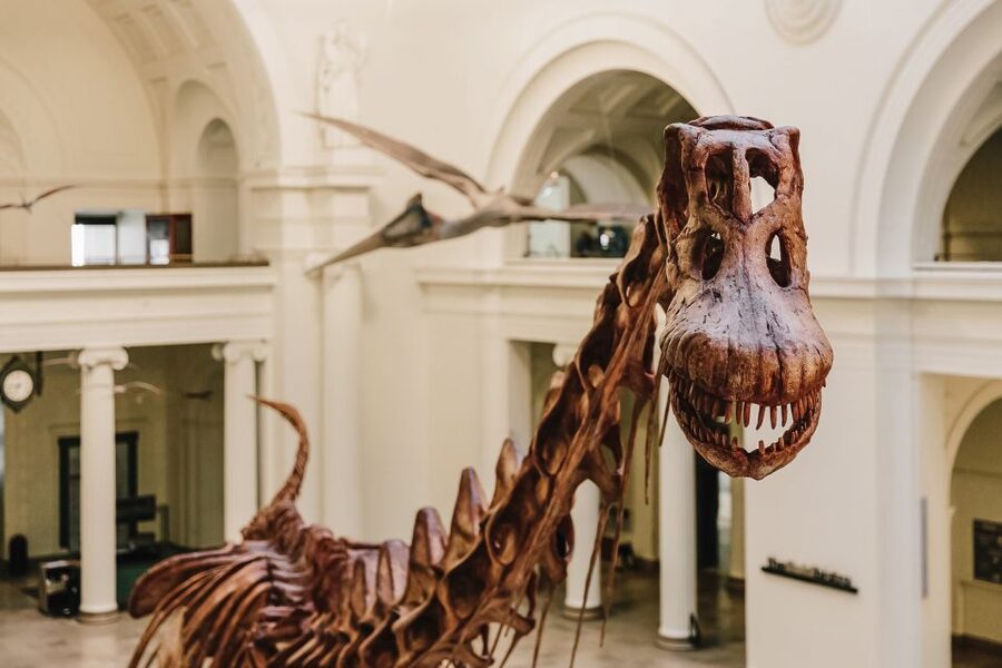 Chicago CityPASS®: Save up to 49% at 5 Top Attractions - Common gotchas: reservations, QR codes, and add-ons that cost extra