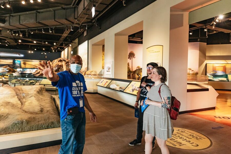 Chicago: Field Museum of Natural History Ticket or VIP Tour - One-Day Routing: How to Actually See More Than the Highlights