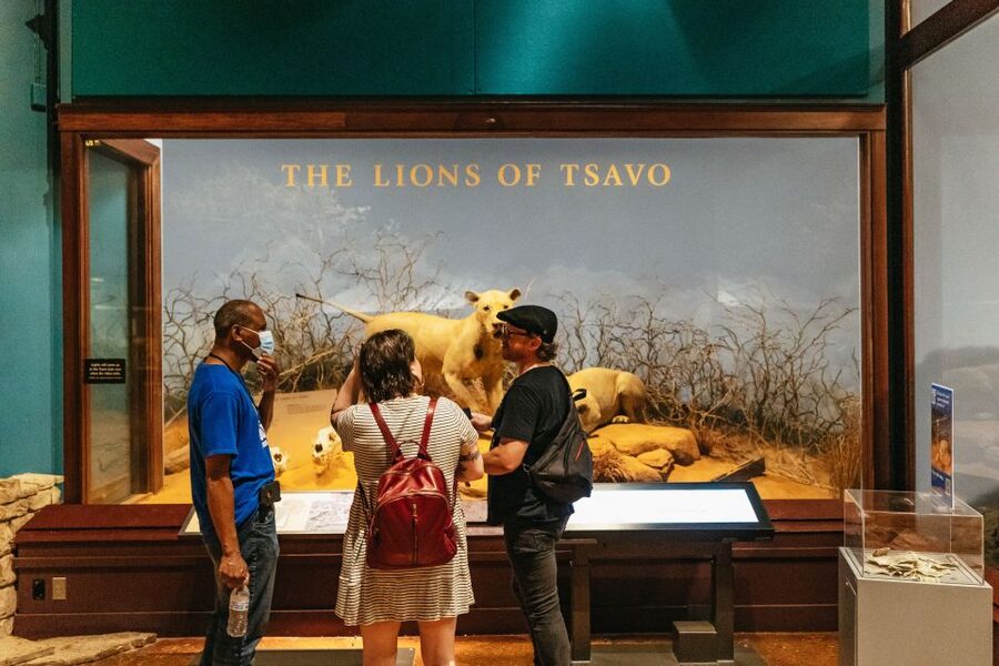 Chicago: Field Museum of Natural History Ticket or VIP Tour - Choosing Your Option: General Admission, All-Access Pass, or Early Access VIP