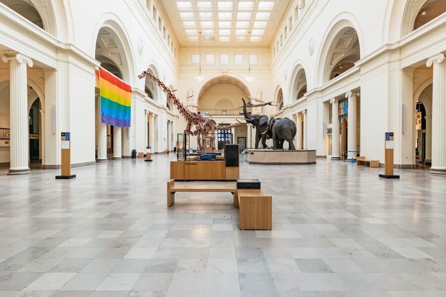 Chicago: Field Museum of Natural History Ticket or VIP Tour - Dinosaur Hall Evolving Planet: What Sue and Maximo Mean in Real Life