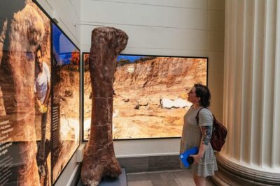 Field Museum of Natural History Ticket or VIP Tour