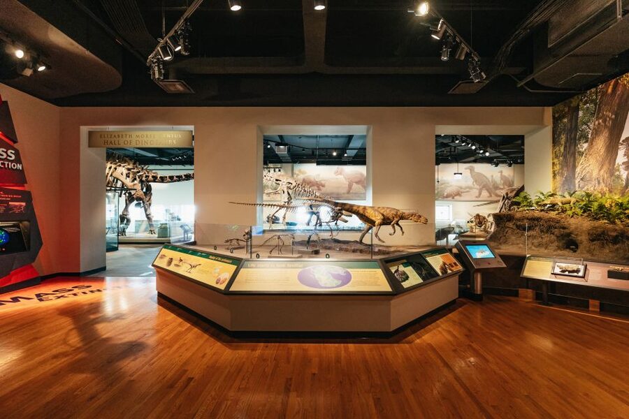 Chicago: Field Museum of Natural History Ticket or VIP Tour - Ancient Americas and Ice Age Stories: Inca and Aztecs With Context