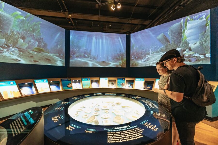 Chicago: Field Museum of Natural History Ticket or VIP Tour - Lions of Tsavo, Gems, and Jade: The Best Non-Dinosaur Detours