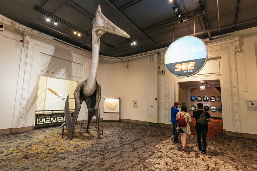 Chicago: Field Museum of Natural History Ticket or VIP Tour - Underground Adventure and Science That Moves at Your Pace