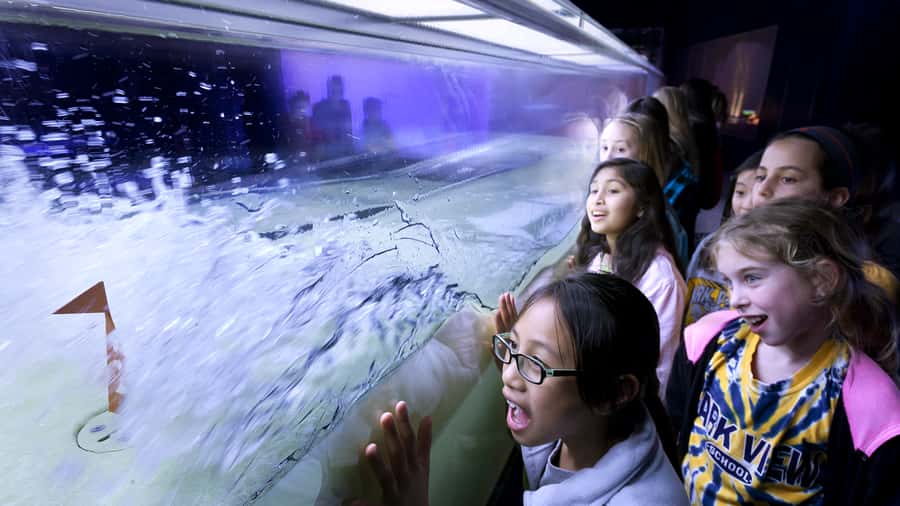 Chicago: Griffin Museum of Science and Industry Ticket - Weather Science That Feels Like a Game: Tornado and Avalanche Play