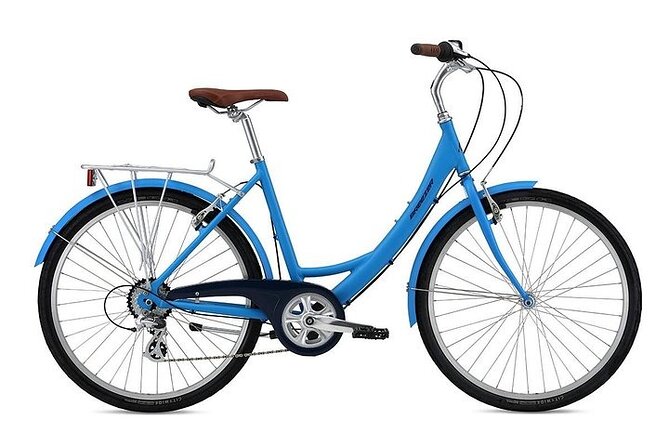 Chicago Half-Day Bike Rental - Lakefront biking is the smart way to see Chicago in 4 hours