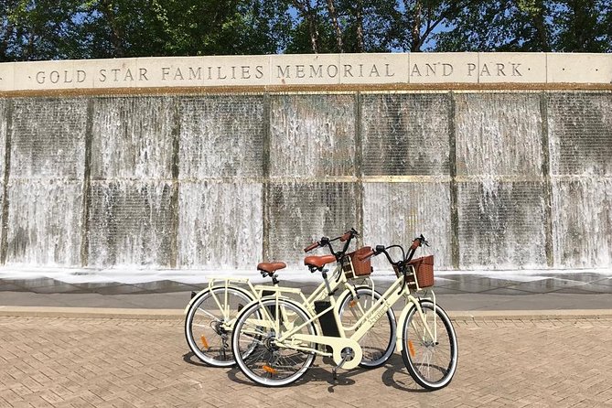 Chicago Lakefront Electric Bike Tour - Field Museum and the Sue Photo Moment That Makes It Memorable