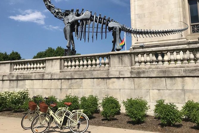 Chicago Lakefront Electric Bike Tour - Price and Value at $69.34 per Person