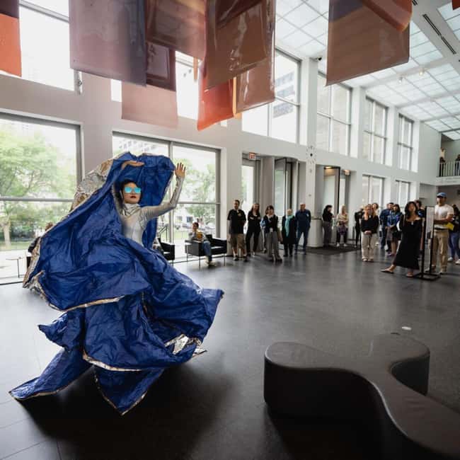Chicago: Museum of Contemporary Art (MCA) Entry Ticket - Big names and serious questions: the MCA’s contemporary mix