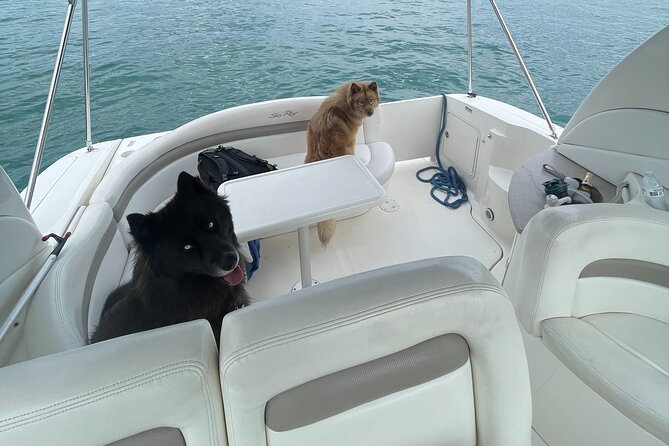 Chicago Private Boat Rental - Explore Chicago's Skyline & Waters - 31st Street Harbor start: lake time, deck time, and included water toys