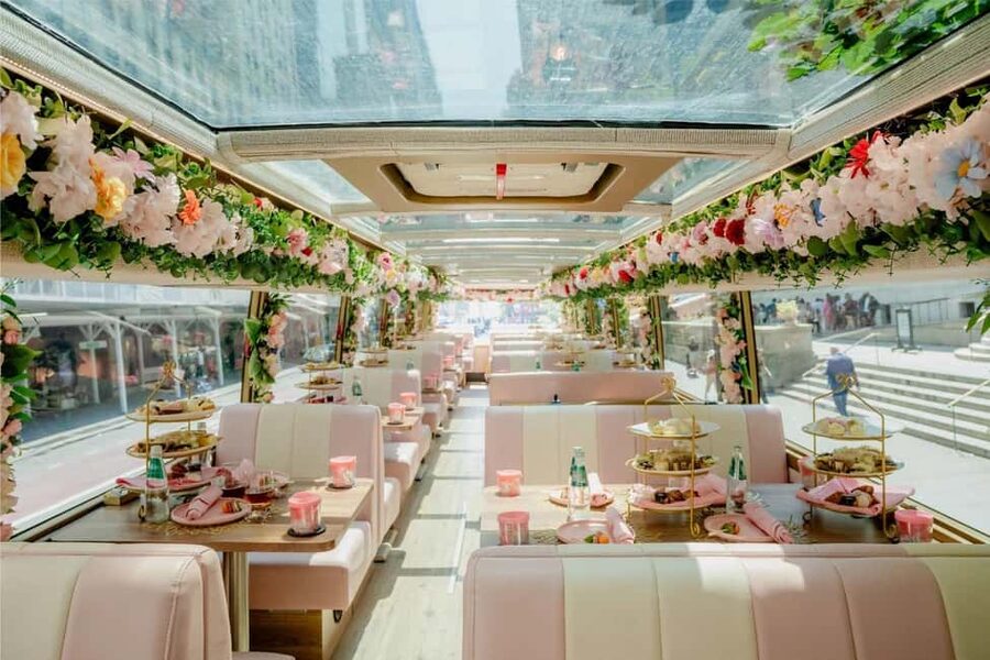 Chicago: Tea Around Town With Curated Teas & Iconic Sights - Live entertainment and narration: singing plus just enough story