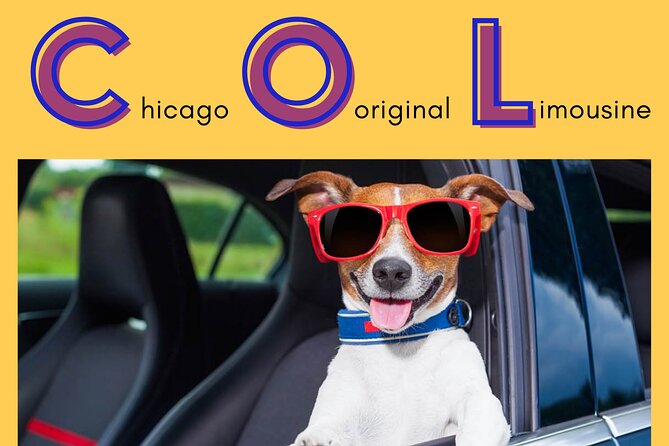Curbside Sedan Transportation from O'Hare or Midway Airport to Downtown Chicago - Arrival to Downtown Chicago: Direct, Private, and Built Around Your Address