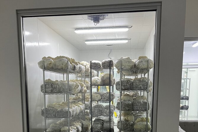 Explore Chicago’s Indoor Mushroom Farm Experience - Your Tour Flow: How Mushrooms Go From Substrate to Packaging