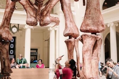 Field Museum of Natural History Admission Tickets