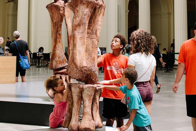 Field Museum of Natural History Admission Tickets - Inside Ancient Egypt, mummies and hieroglyphics you can actually follow