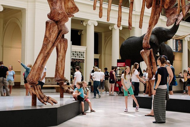 Field Museum of Natural History Admission Tickets - Underground Adventure, a fun way to think about scale
