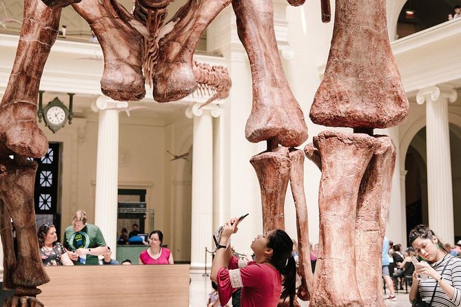 Field Museum of Natural History Admission Tickets - Getting oriented fast at the Museum Campus