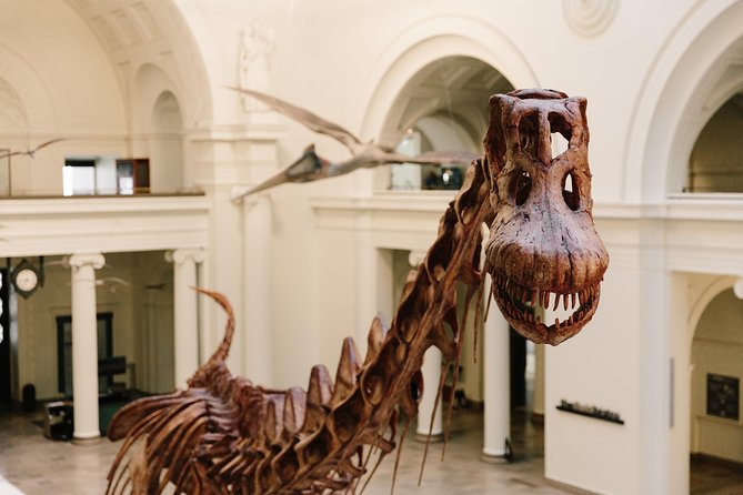 Field Museum of Natural History All-Access Pass - Price and timing, the two things that decide if it feels like a deal