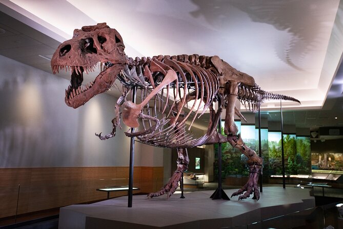 Field Museum of Natural History Early Access Ticket - What the One-Hour Tour Usually Covers (And What It Usually Skips)