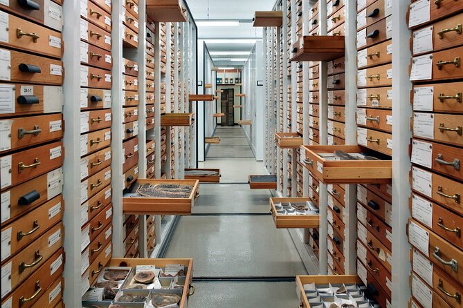 Field Museum of Natural History Early Access Ticket - Price and Value: Is $73 Worth It?