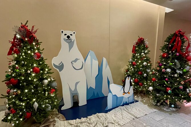 Holiday Walking Tour: Underground Chicago via the Pedway - Christmas Market at Christkindlmarket Chicago, Then Back to Shopping-Spot Energy