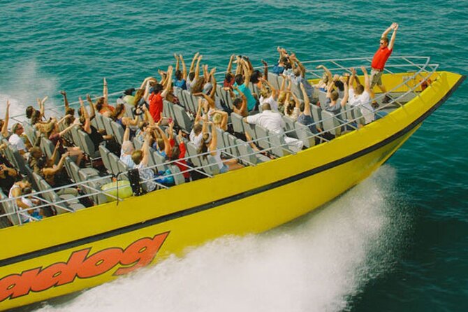 Lake Michigan 30-Minute Speedboat Ride - Getting Oriented at Navy Pier, Seats, and What to Wear