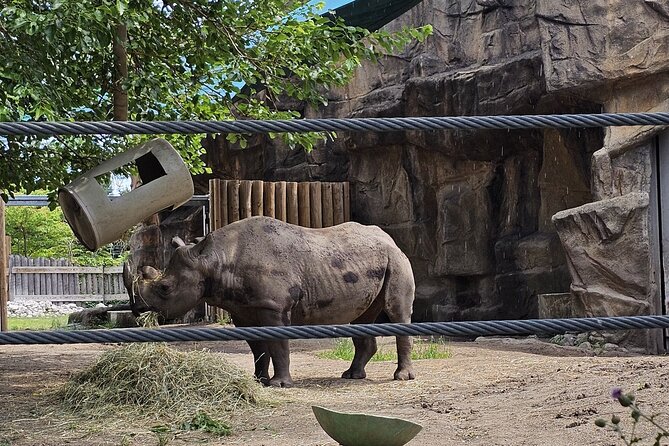 Lincoln Park Nature Museum & Zoo Private Walking Tour - Price and value at $250 per group: when it is a smart deal