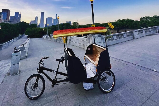 Lincoln Park Secrets: Private Enchanted Pedicab History Tour - Starting at the William Shakespeare Monument and cruising the park center