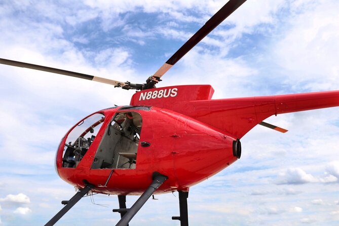 Private 45-Minute Chicago Skyline Helicopter Tour - Millennium Park, Buckingham Fountain, the Art Institute, and Museum Campus