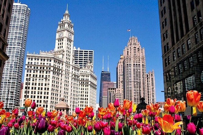 Private City Tour 6-10ppl - Pickup in downtown Chicago: the easiest way to start