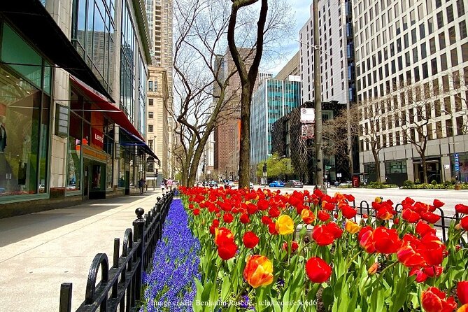 Welcome to Chicago: Private Half-Day Tour with 360 Observation Deck - Practical tips so your walk and deck time feel smooth