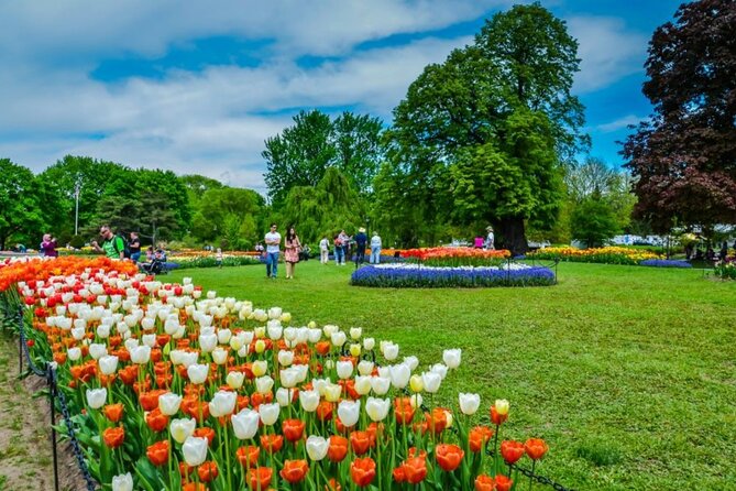 Windmill Island Gardens Day Tour from Chicago – Kids Save 50% - Key Points at a Glance