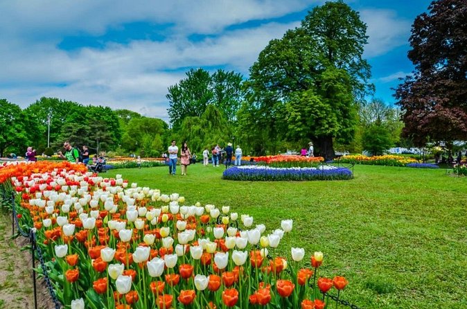 Windmill Island Gardens Day Tour from Chicago – Kids Save 50% - Getting From Chicago: Timing, Comfort, and Group Feel